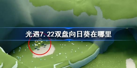 光遇7.22双盘向日葵在哪里 光遇7月22日有友节代币收集攻略