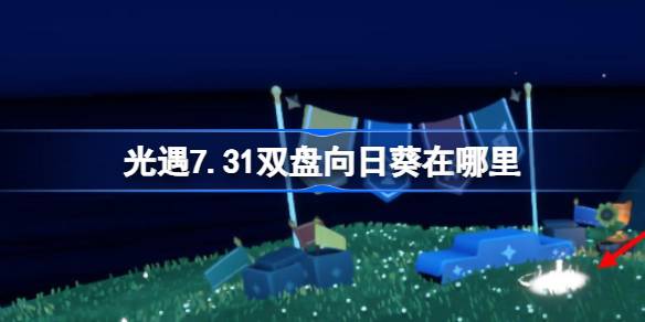 光遇7.31双盘向日葵在哪里 光遇7月31日有友节代币收集攻略