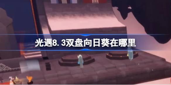 光遇8.3双盘向日葵在哪里 光遇8月3日有友节代币收集攻略