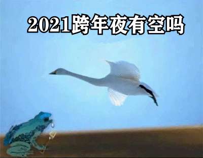 2021跨年夜有空吗天鹅最新表情包大全分享