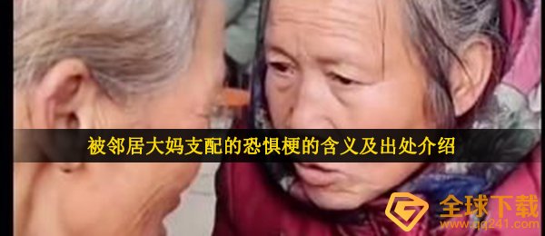 被邻居大妈支配的恐惧梗的含义及出处介绍