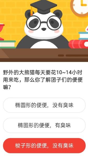 2021《微博》1月8日森林驿站每日一题答案