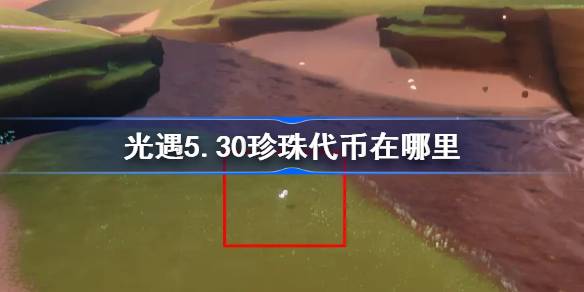 光遇5.30珍珠代币在哪里 光遇5月30日自然日代币收集攻略