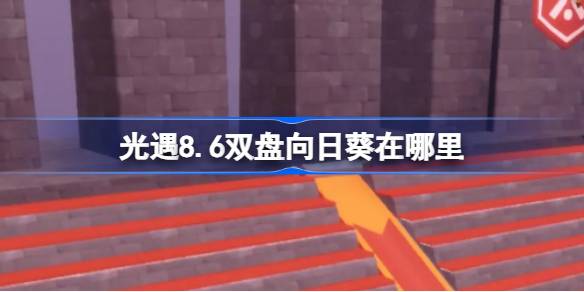 光遇8.6双盘向日葵在哪里 光遇8月6日有友节代币收集攻略