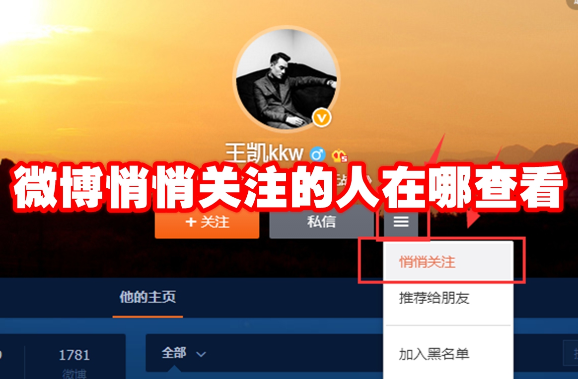 微博悄悄关注的人在哪查看