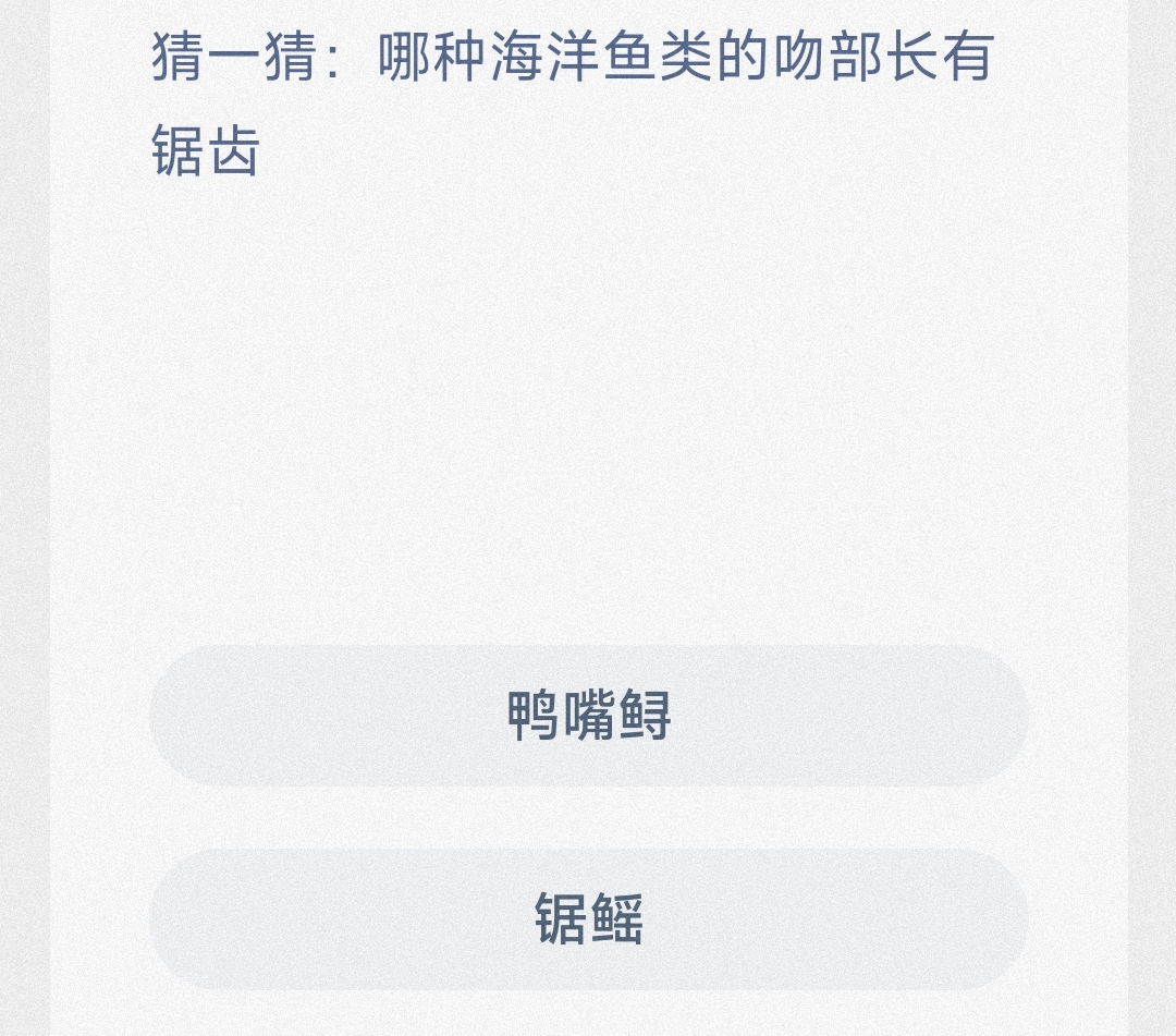 猜一猜:哪种海洋鱼类的吻部长有锯齿 最新神奇海洋答案7月18日