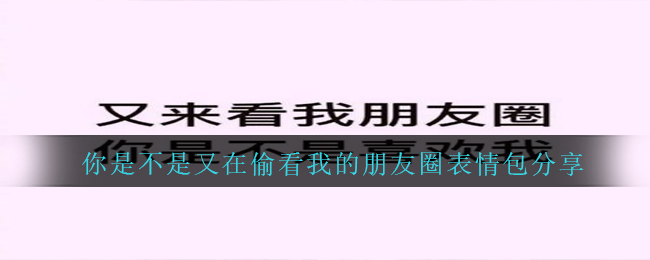 你是不是又在偷看我的朋友圈表情包分享