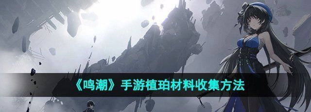 《鸣潮》手游植珀材料收集方法