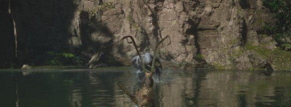 《黑神话悟空》避水珠获取方法