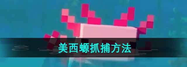 《我的世界》美西螈抓捕方法