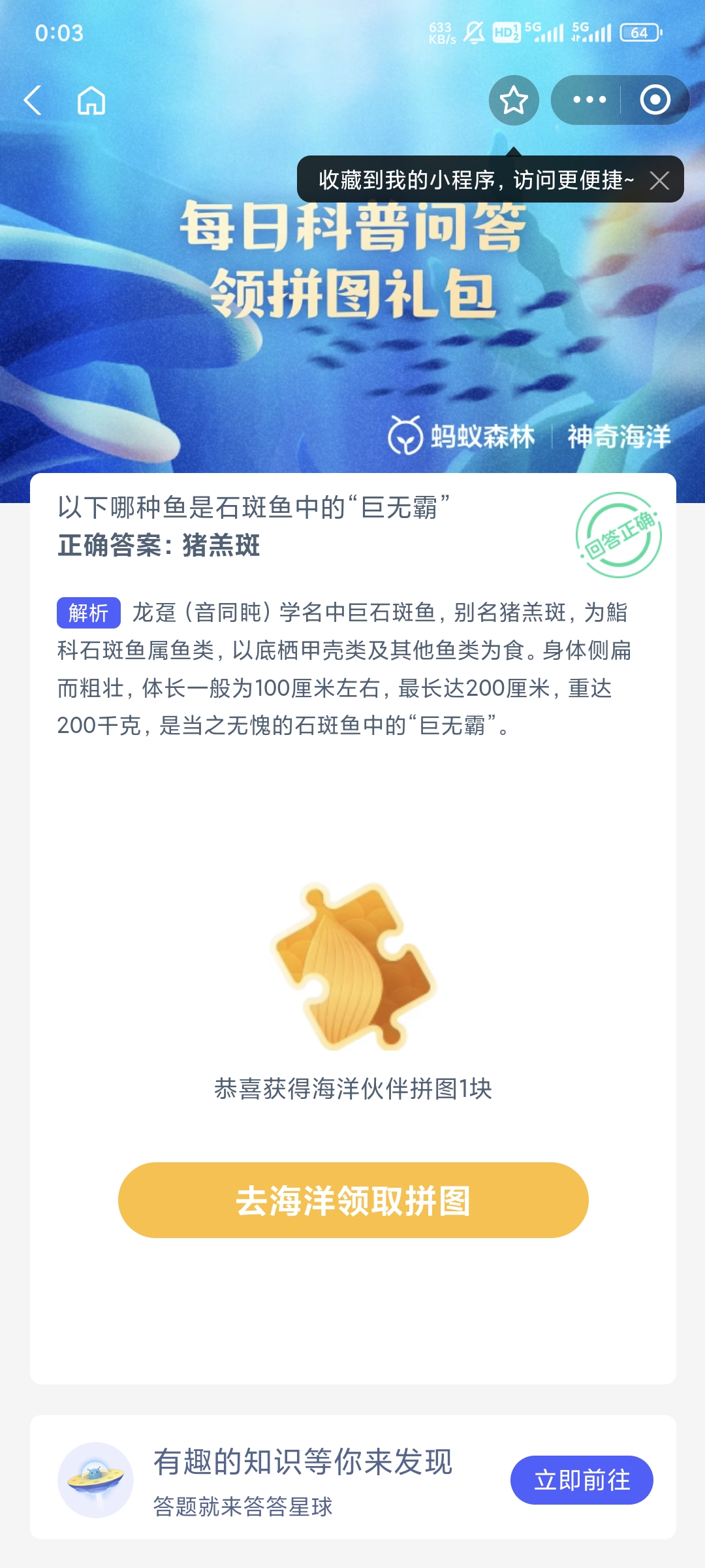 以下哪种鱼是石斑鱼中的巨无霸 最新神奇海洋答案8月13日