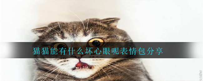 猫猫能有什么坏心眼呢表情包分享