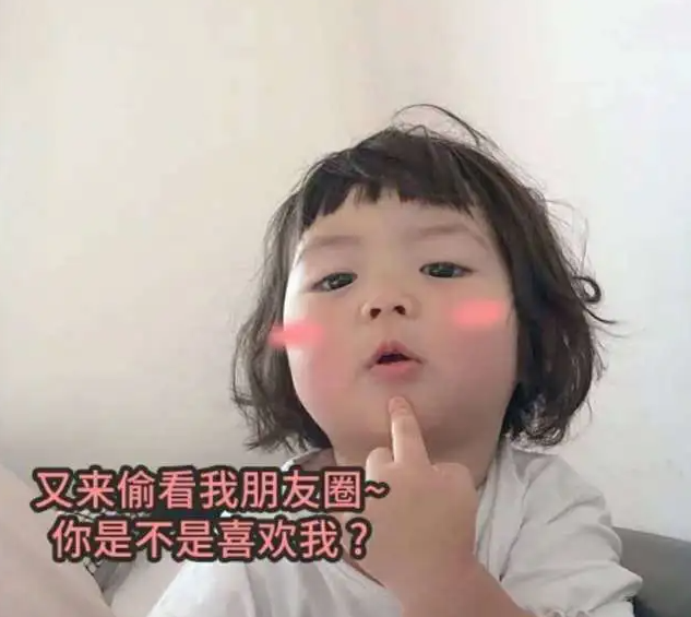 你是不是又在偷看我的朋友圈表情包分享