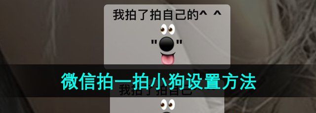 《微信》拍一拍小狗设置方法