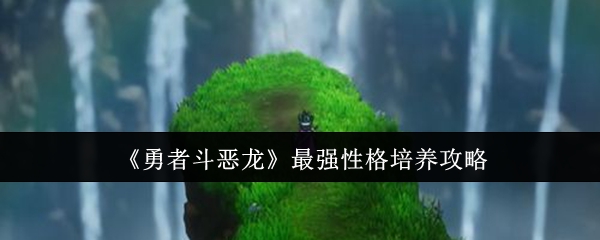 《勇者斗恶龙》最强性格培养攻略