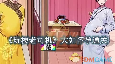 《玩梗老司机》大如怀孕怎么过