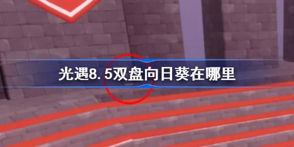 光遇8.5双盘向日葵在哪里 光遇8月5日有友节代币收集攻略