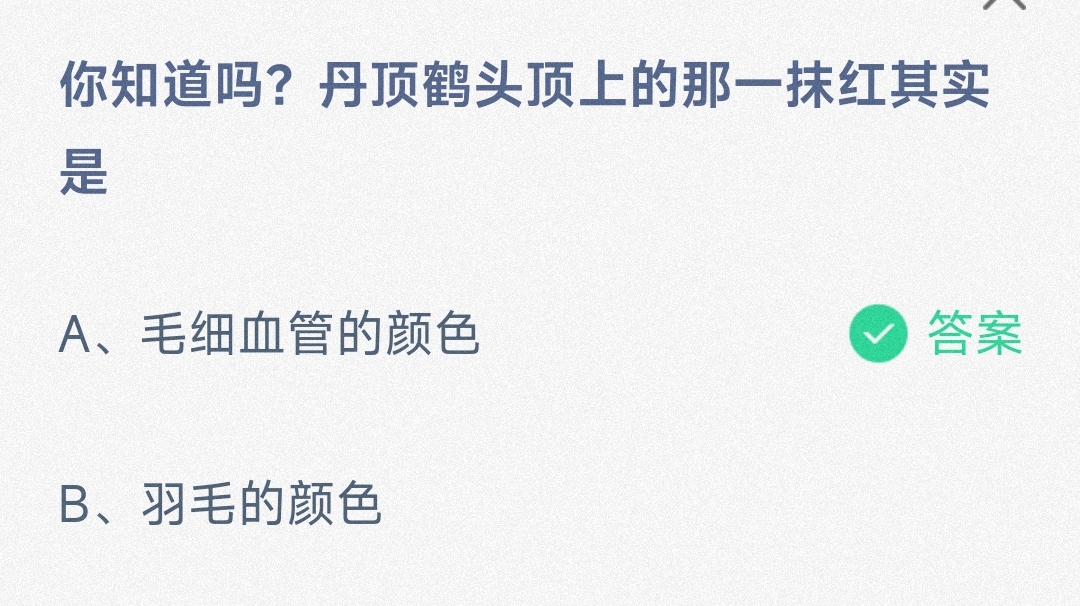 你知道吗?丹顶鹤头顶上的那一抹红其实是毛细血管的颜色还是羽毛的颜色