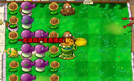 《pvz杂交版》英雄模式公主驾到通关详解4