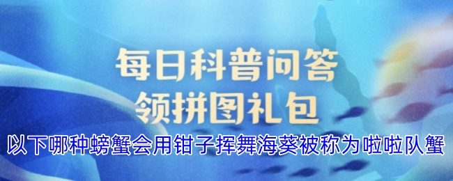 以下哪种螃蟹会用钳子挥舞海葵被称为啦啦队蟹