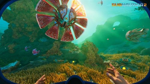 Unknown Worlds公开《Subnautica 2》最新信息