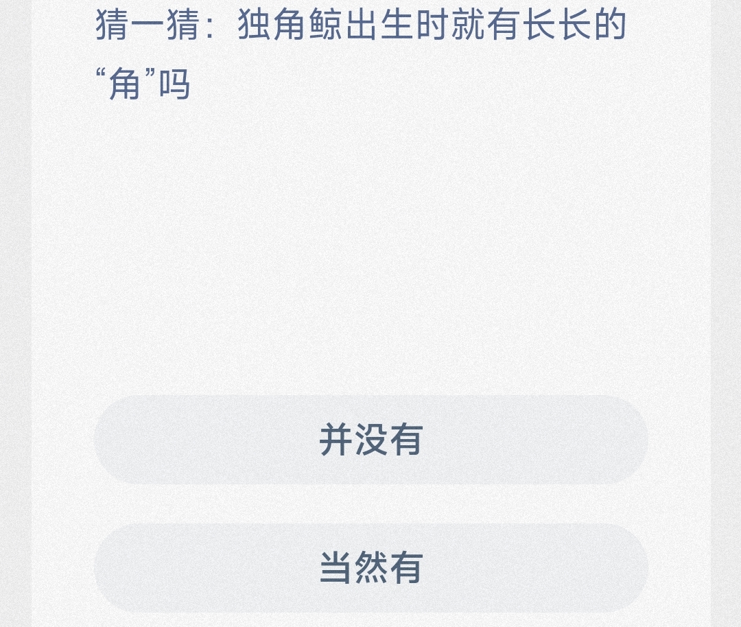 猜一猜:独角鲸出生时就有长长的“角”吗 最新神奇海洋答案8月4日