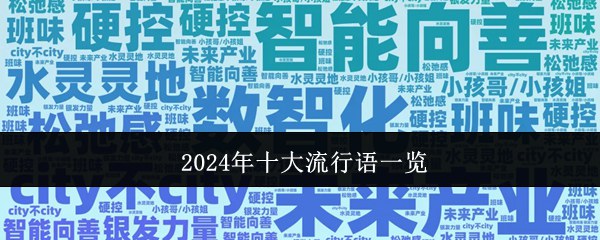 2024年十大流行语一览