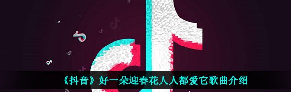 《抖音》迎春花歌曲信息介绍