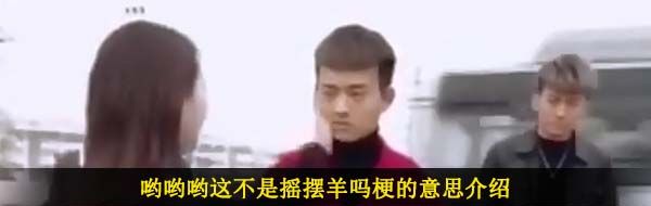 哟哟哟这不是摇摆羊吗梗的意思介绍