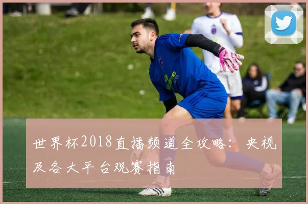 世界杯2018直播频道全攻略:央视及各大平台观赛指南