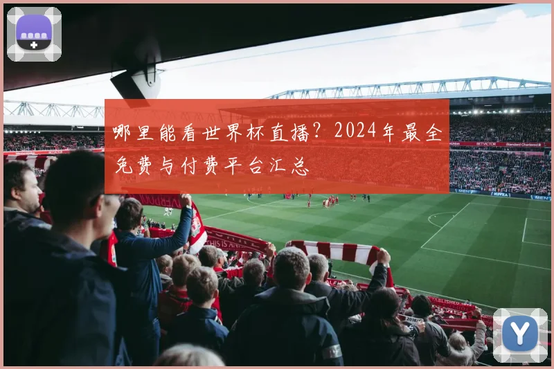 哪里能看世界杯直播？2024年最全免费与付费平台汇总