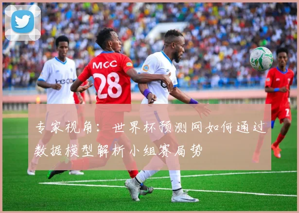 专家视角：世界杯预测网如何通过数据模型解析小组赛局势