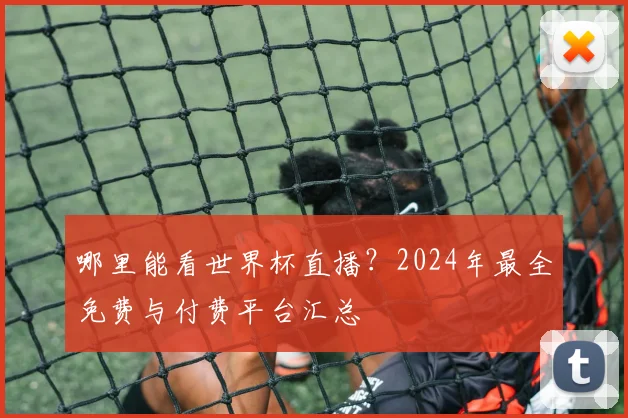 哪里能看世界杯直播？2024年最全免费与付费平台汇总