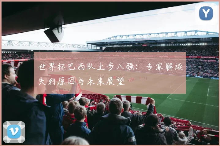 世界杯巴西队止步八强：专家解读失利原因与未来展望