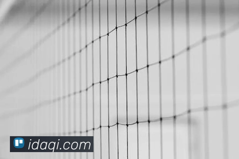 九游老哥j9官网入口APP 高清赛事图